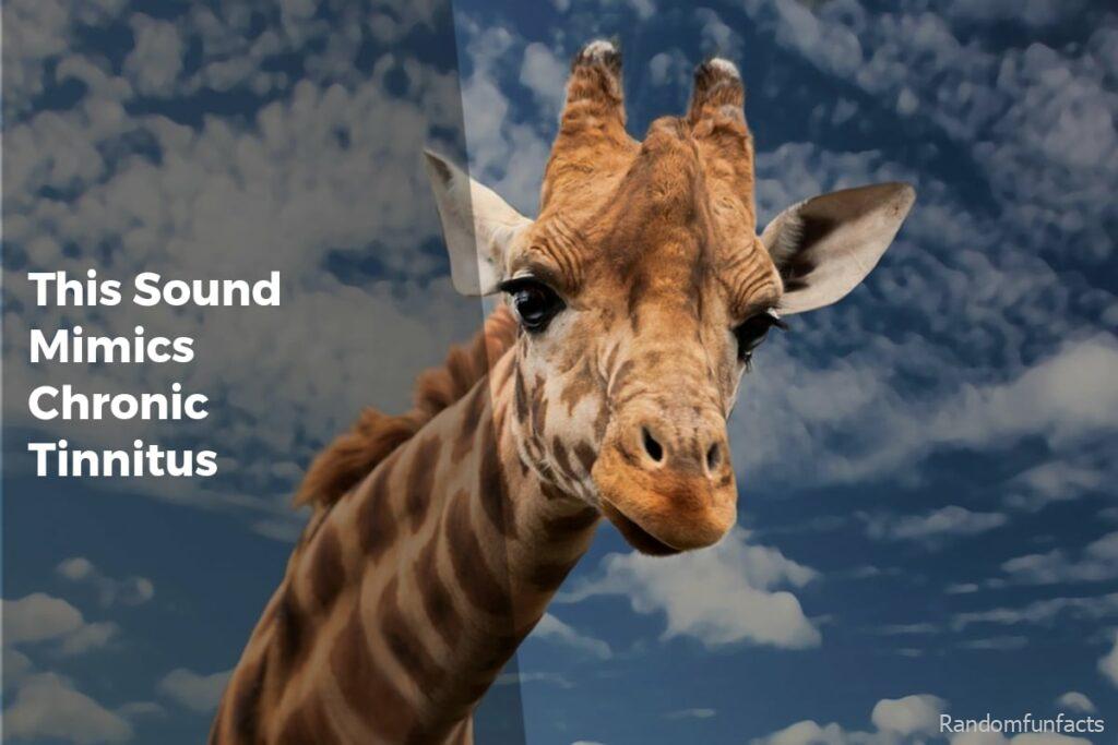 This Sound Mimics Chronic Tinnitus - Facts