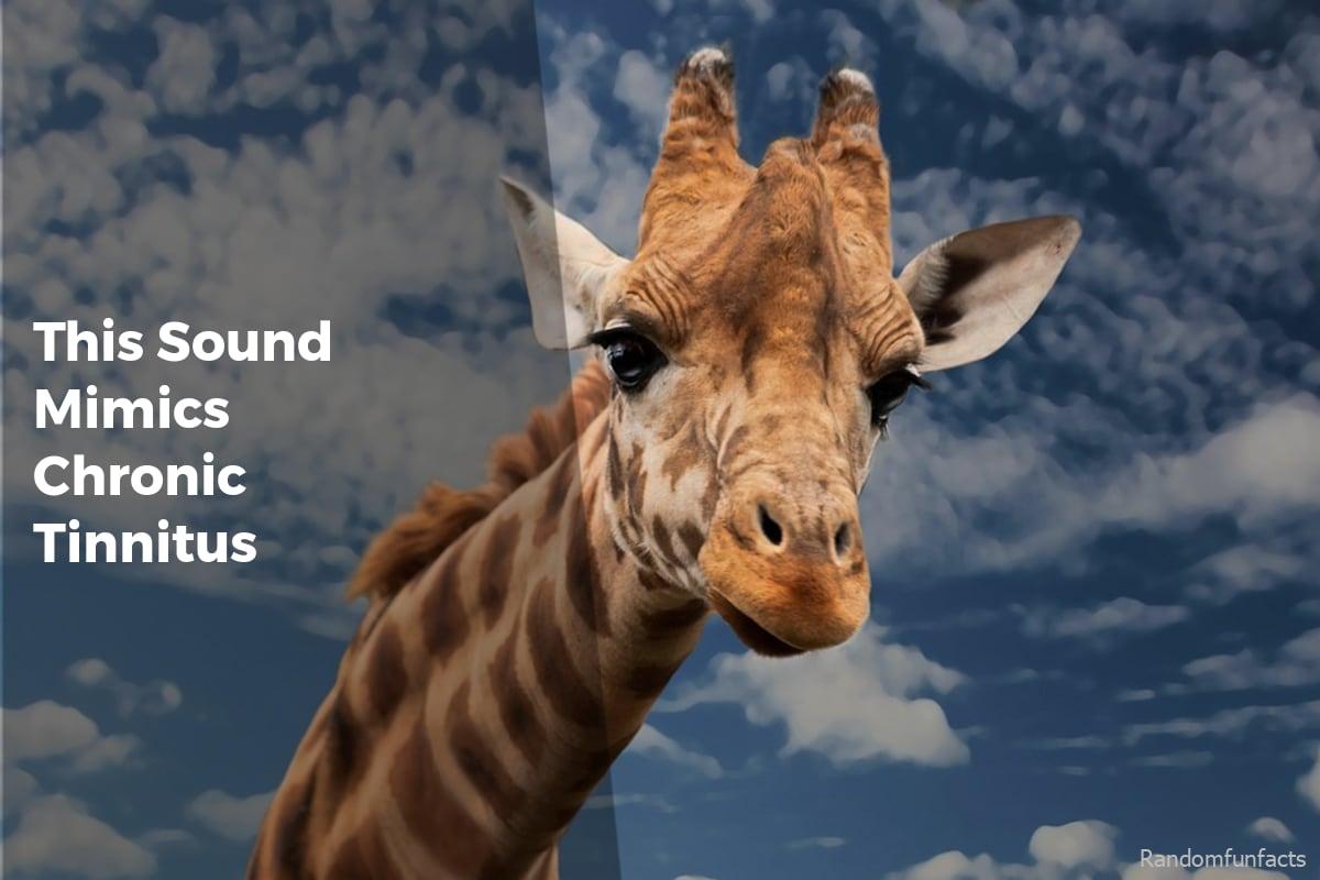 This Sound Mimics Chronic Tinnitus - Facts