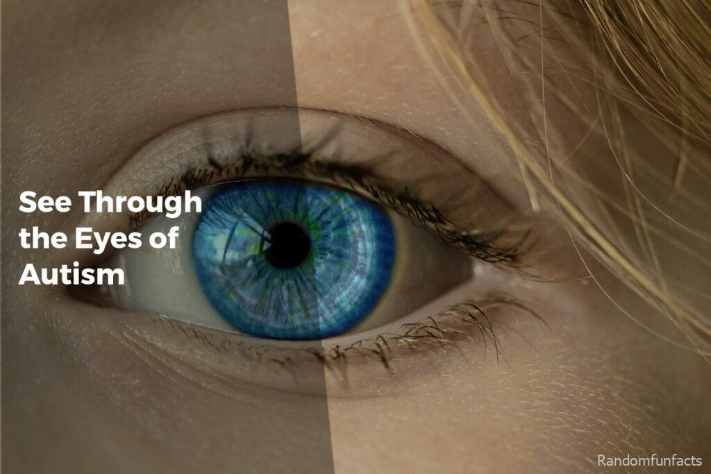 See Through the Eyes of Autism - Facts