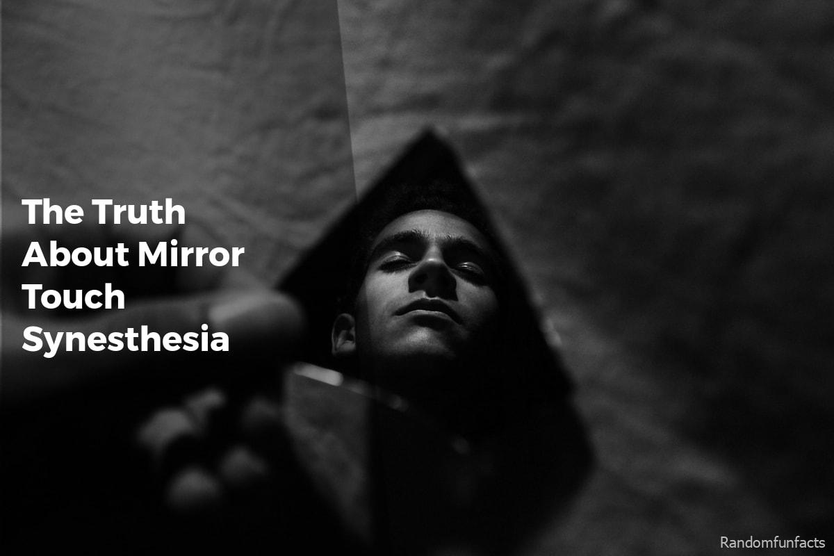 The Truth About Mirror Touch Synesthesia - facts