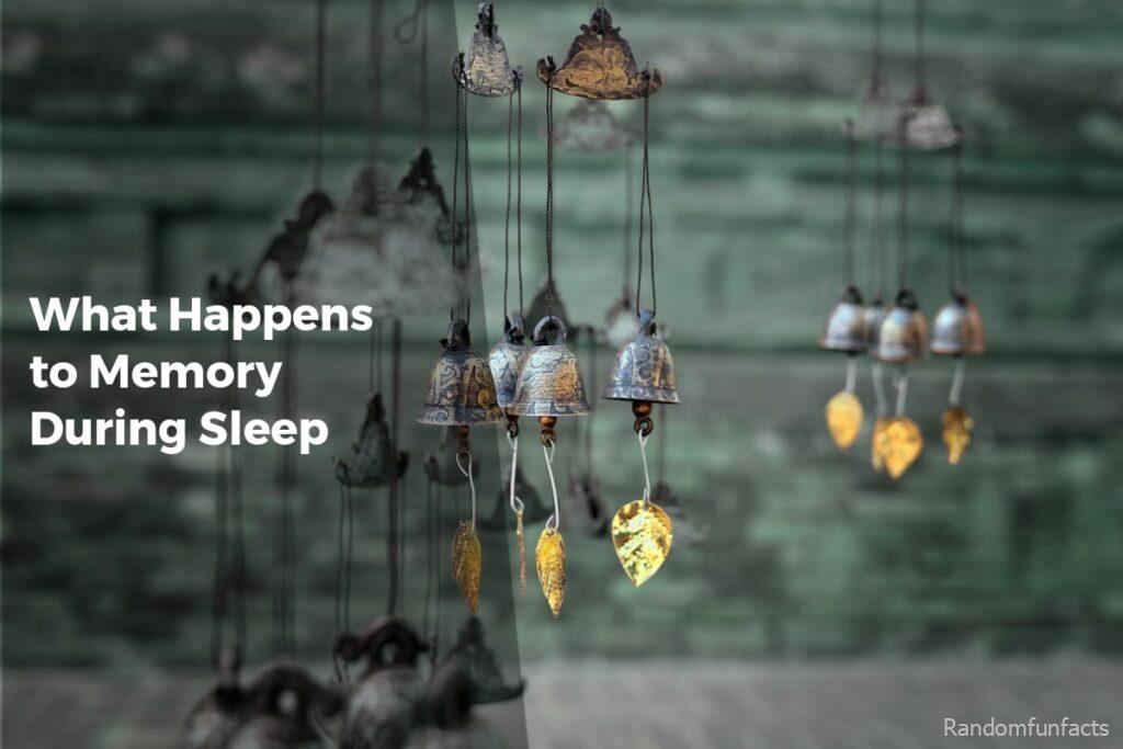 What Happens to Memory During Sleep? - facts