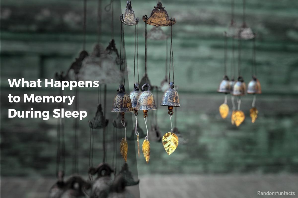 What Happens to Memory During Sleep? - facts