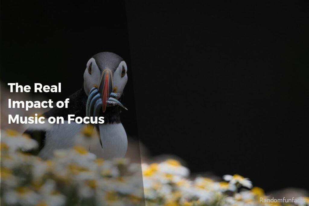 The Real Impact of Music on Focus - facts