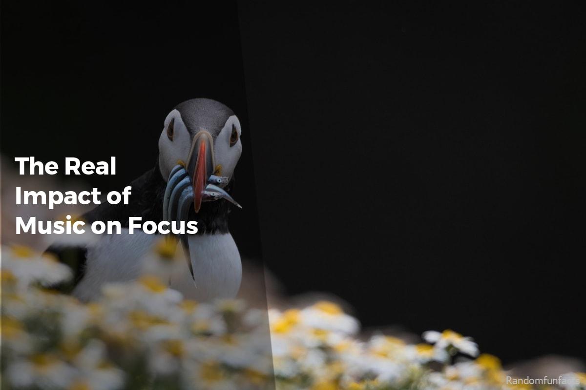 The Real Impact of Music on Focus - facts