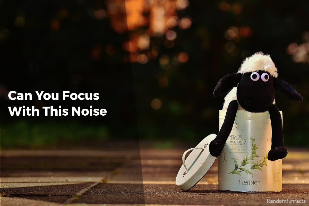 Can You Focus With This Noise? - Facts