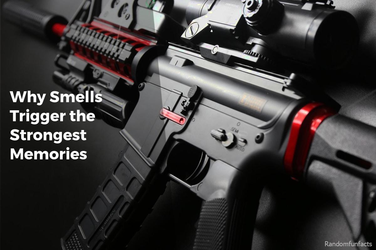 Why Smells Trigger the Strongest Memories - facts