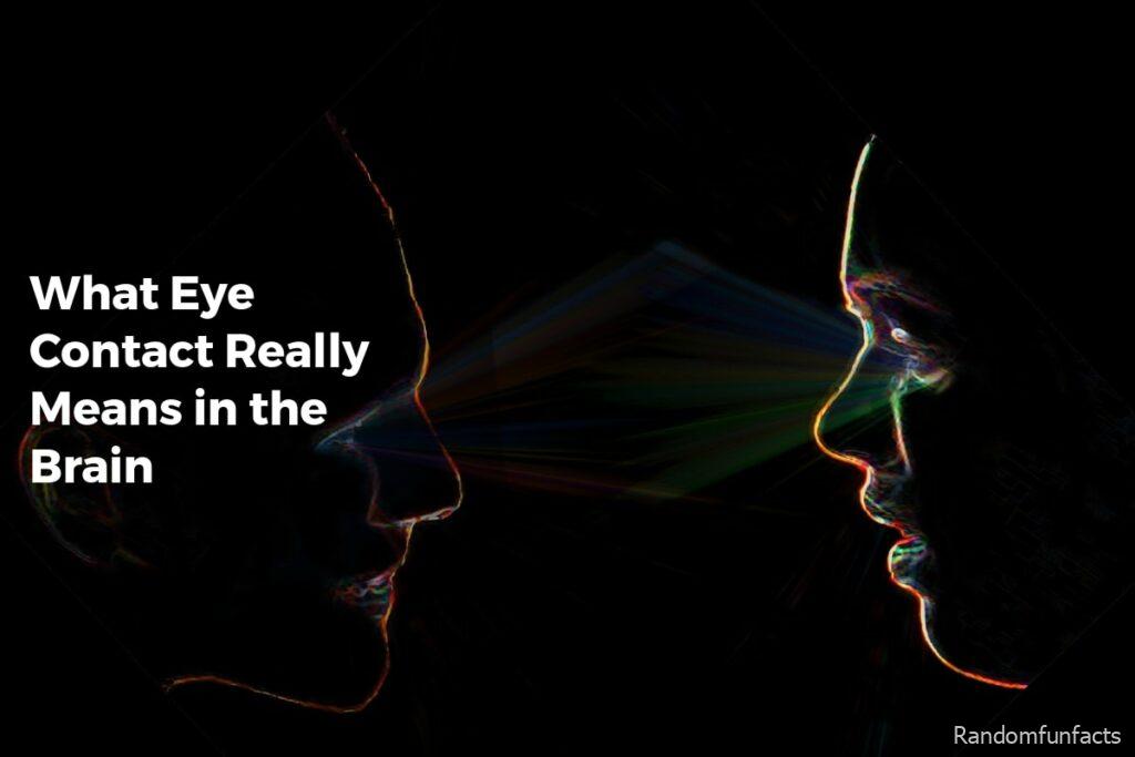 What Eye Contact Really Means in the Brain - facts