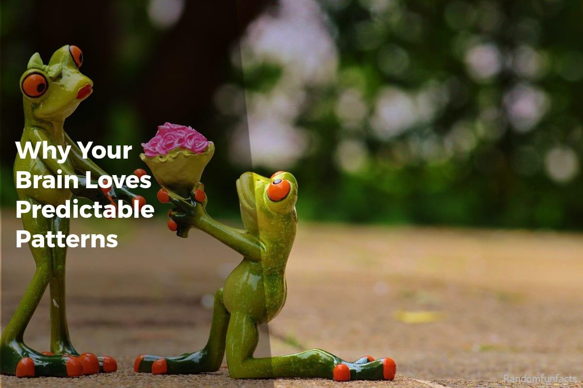 Why Your Brain Loves Predictable Patterns - facts