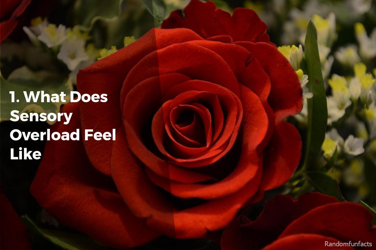1. What Does Sensory Overload Feel Like? - Facts